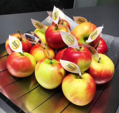 Äpfel mit gedrucktem Apfelblatt in Schale