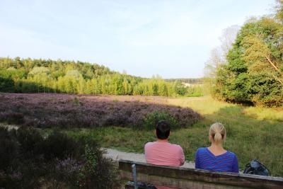 Wanderer auf Bank mit Blick auf Heidefläche 