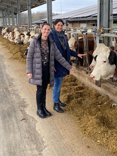 Der Quinkertzhof – vom klassischen Milchviehbetrieb zum modernen Agrobusiness-Unternehmen