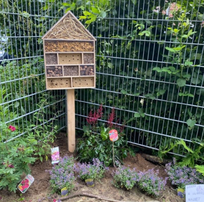 Kita NetteWelt legte einen Bienen- und Schmetterlingsgarten an